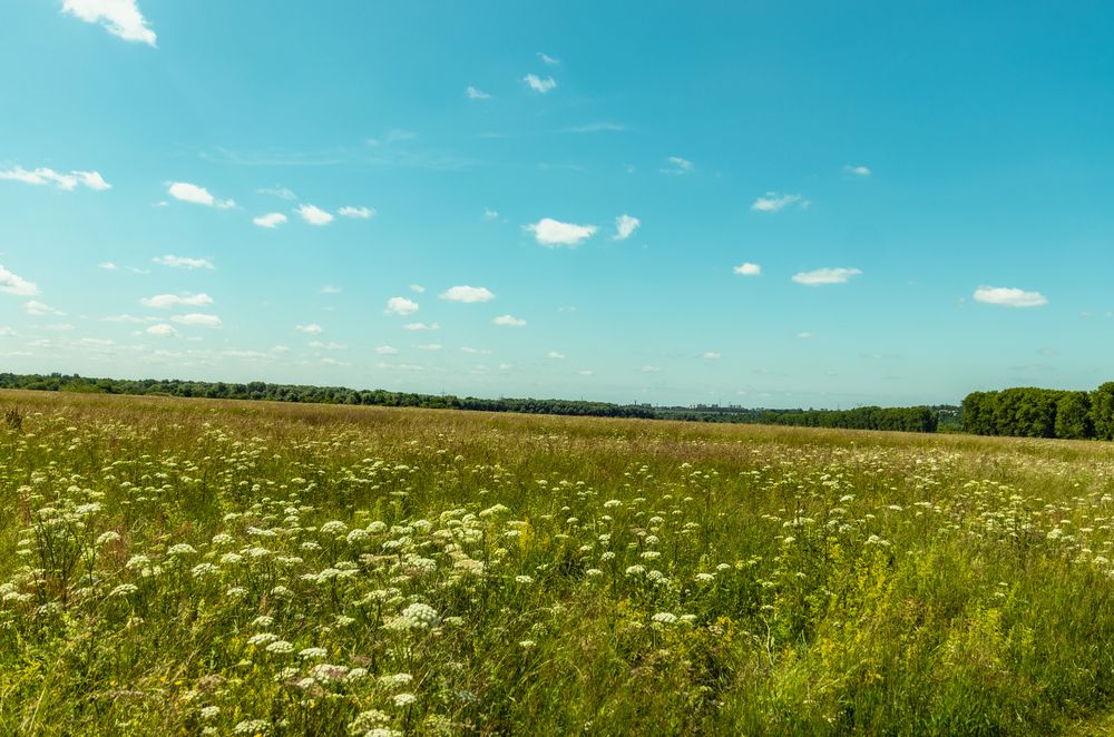Photograph by Сергей Аникушин