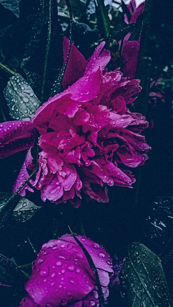 Photograph by Людмила Горячева