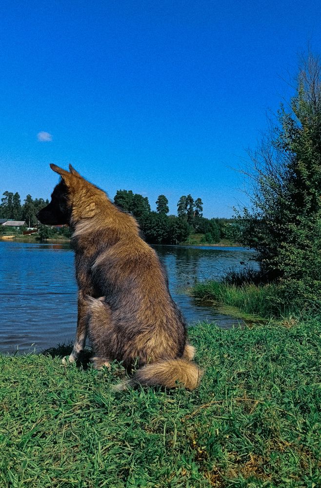 Photograph by Людмила Горячева