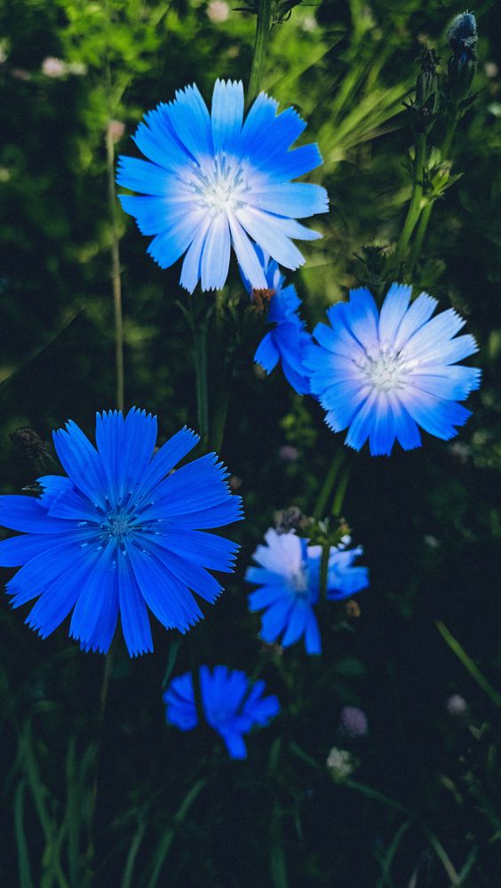 Photograph by Людмила Горячева