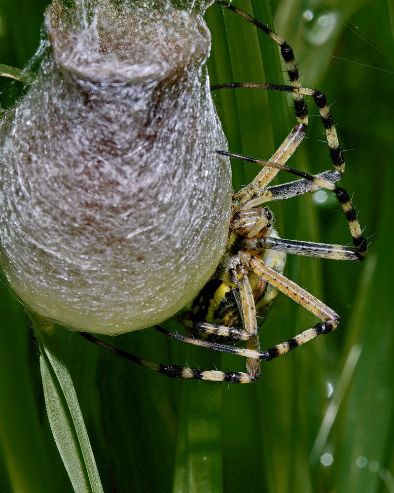 Photograph by Кузнецов Дмитрий