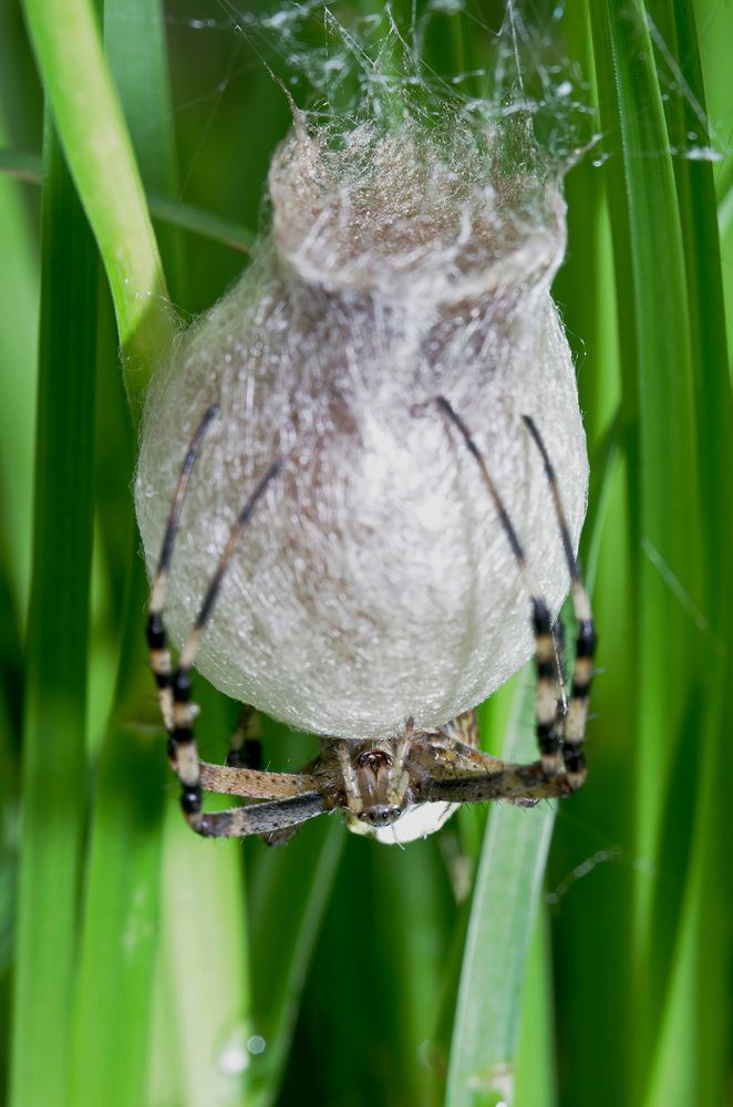 Photograph by Кузнецов Дмитрий