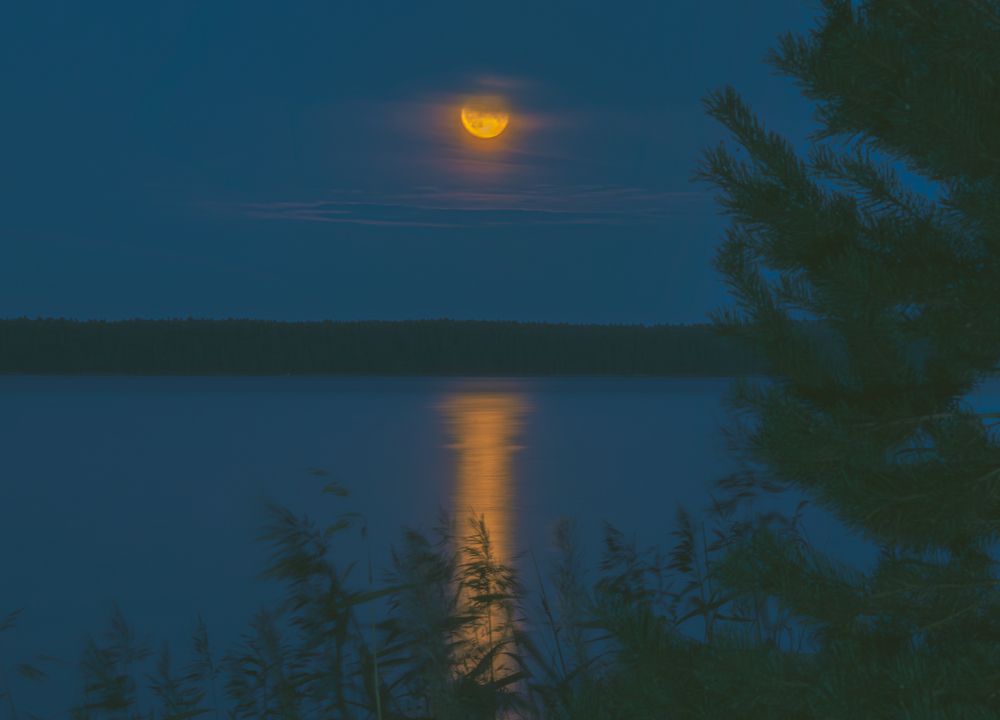 Photograph by Nikolay Surovtsev