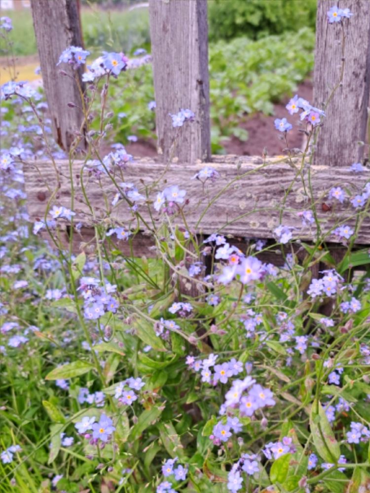 Photograph by Валентина Кузьменко