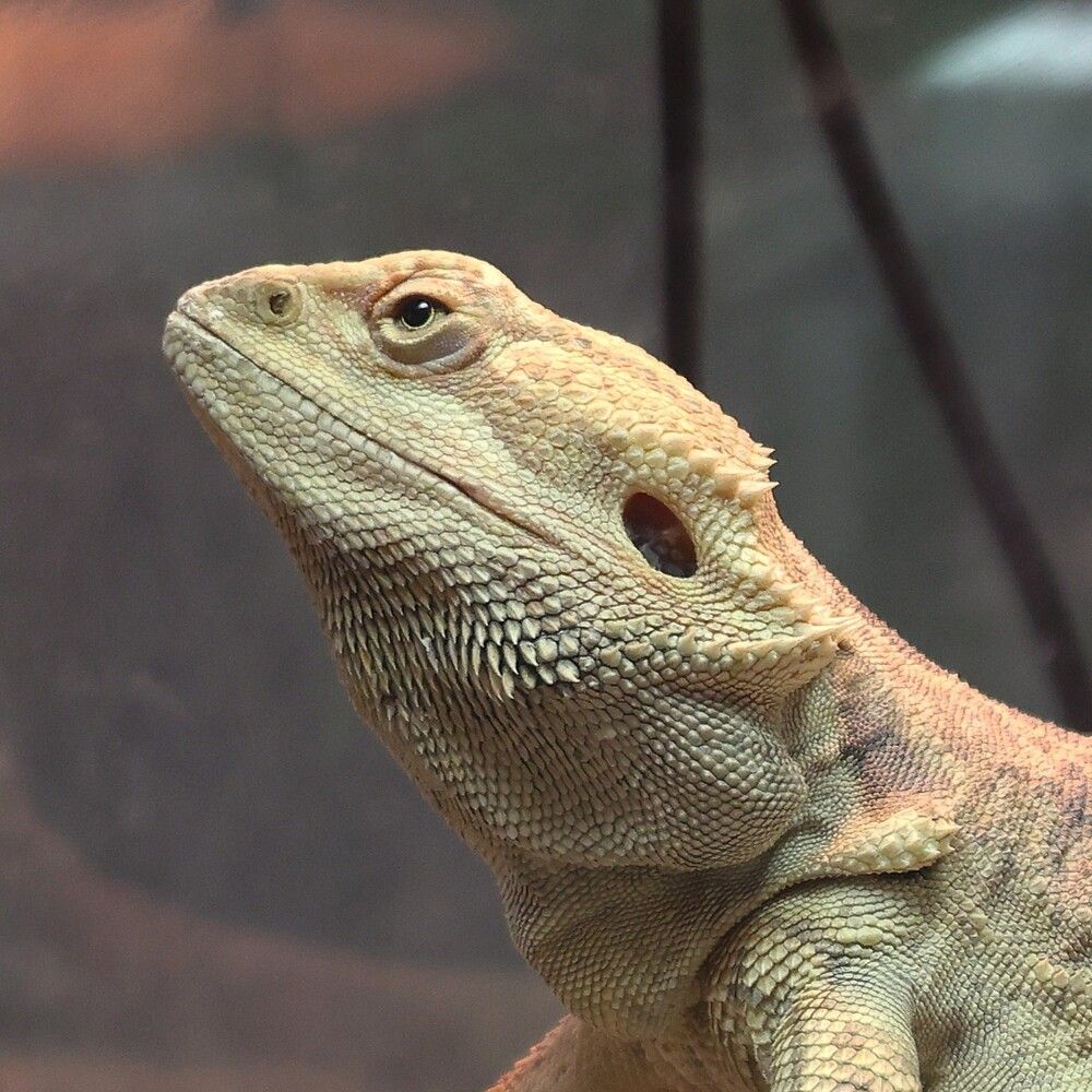 Photograph by Гагик Саркисян