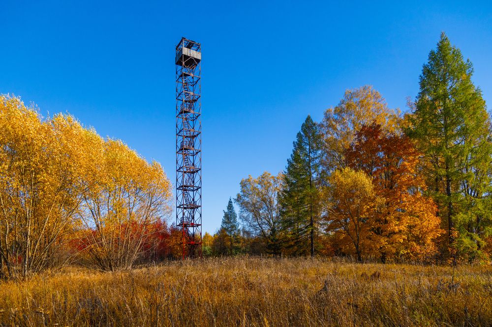 Photograph by Владимир Карпов