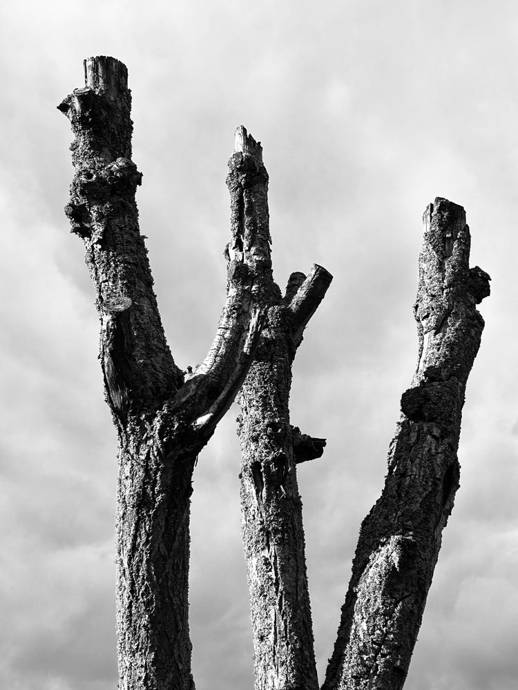 Photograph by Ольга Евтухова