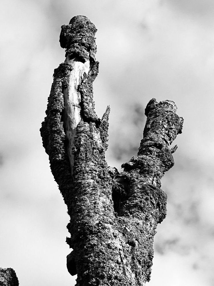 Photograph by Ольга Евтухова