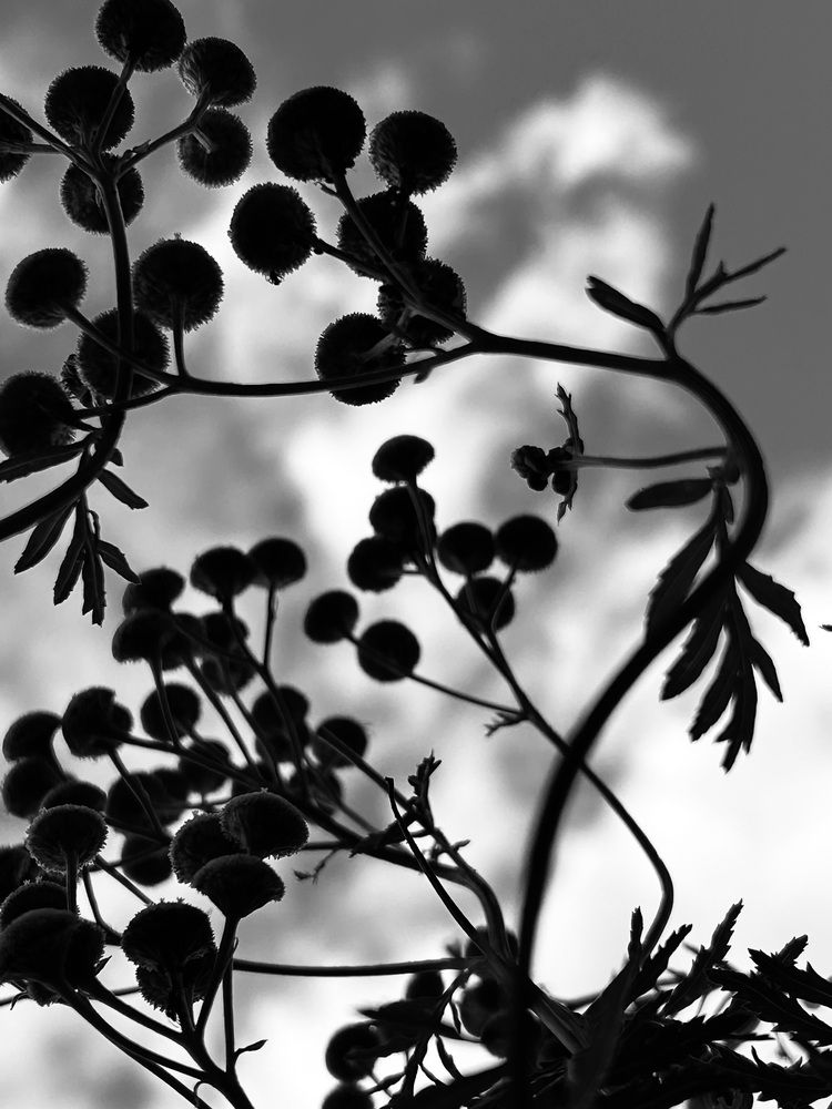 Photograph by Ольга Евтухова