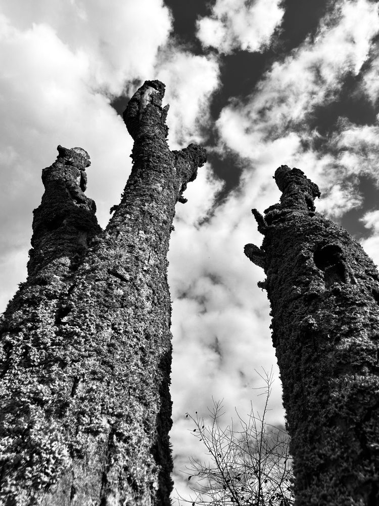 Photograph by Ольга Евтухова