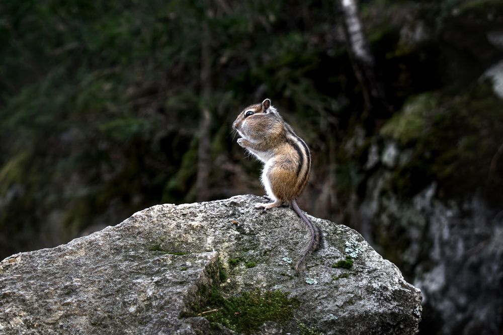 Photograph by Альфия Агзами