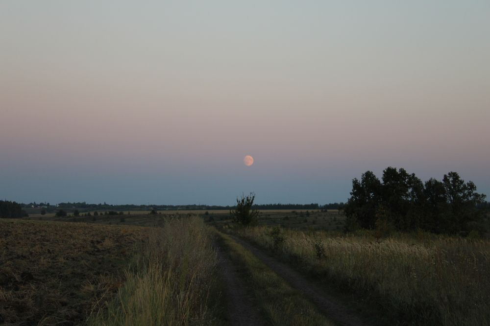 Photograph by Елена Коробченко