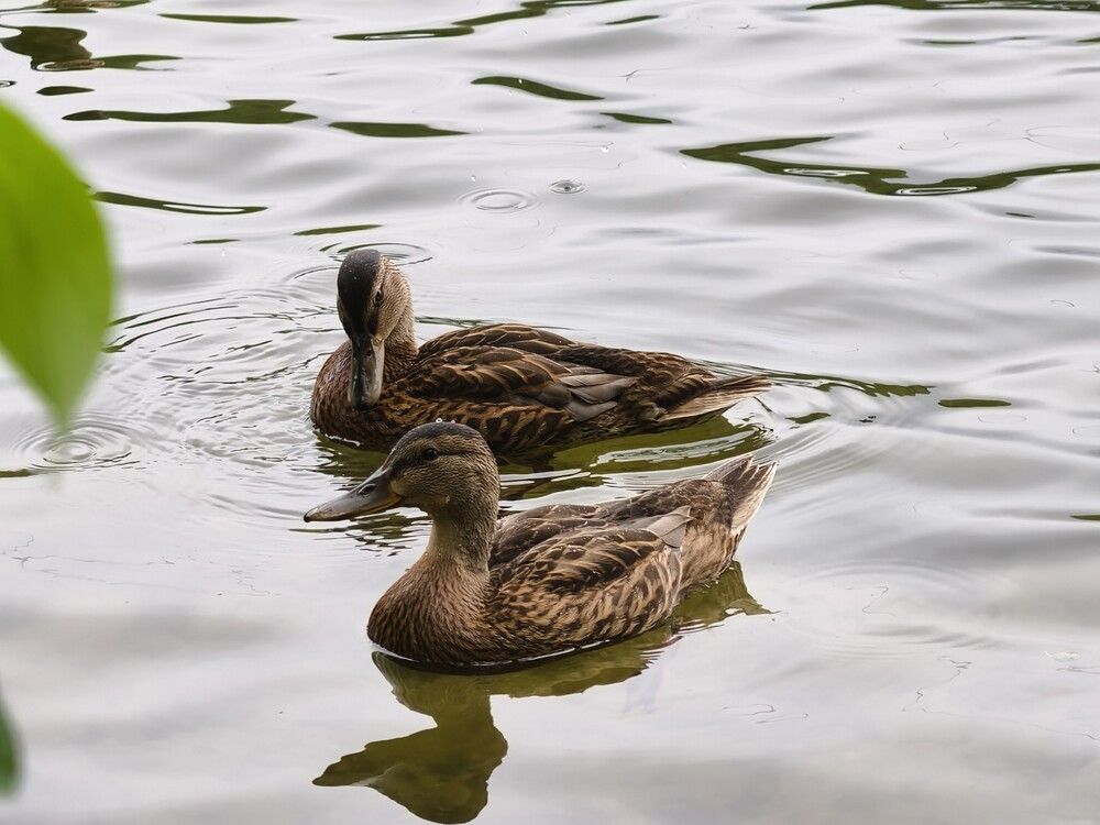 Photograph by Галина