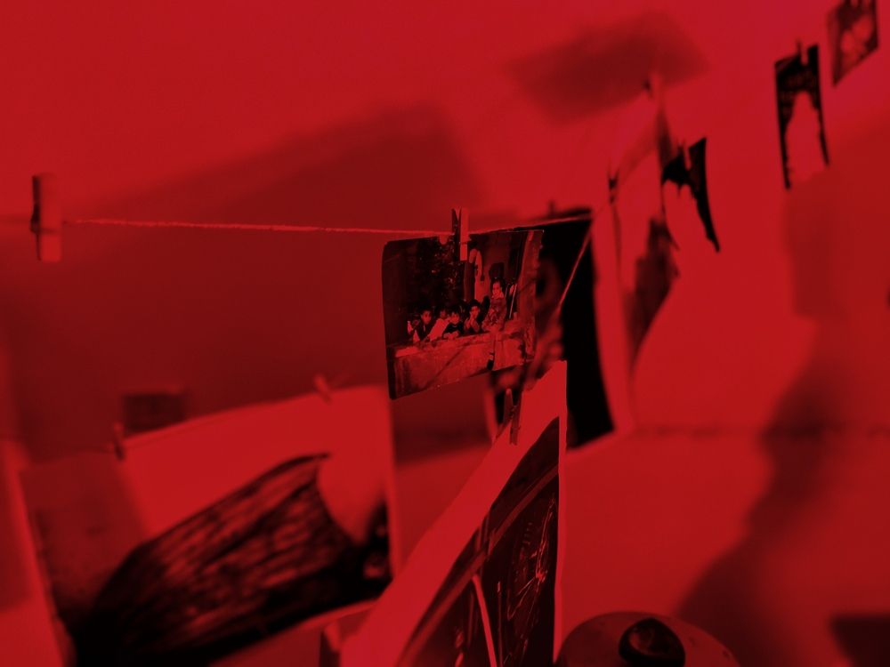 Photograph by Basma rashwan