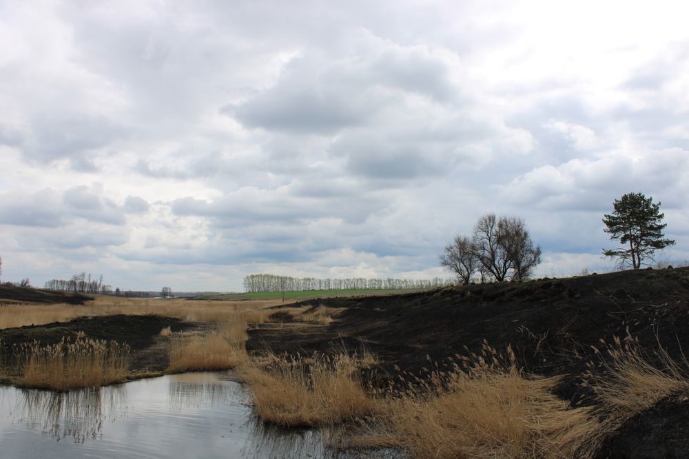 Photograph by Елена Коробченко