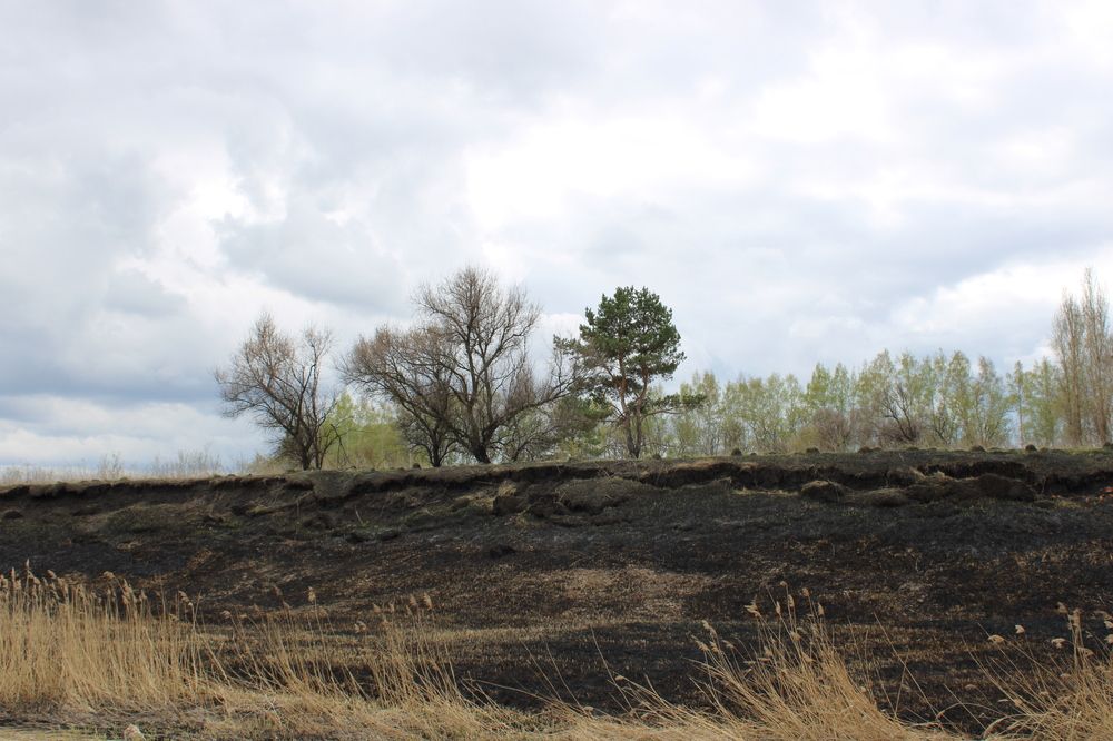 Photograph by Елена Коробченко