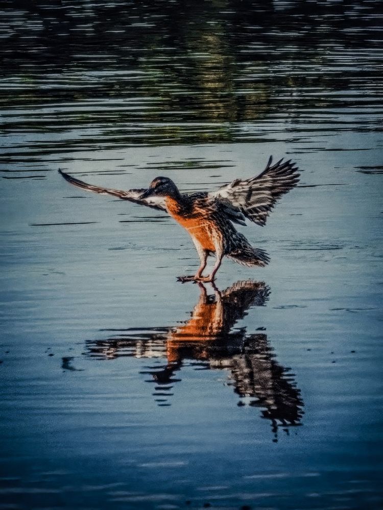 Photograph by Ольга Волкова