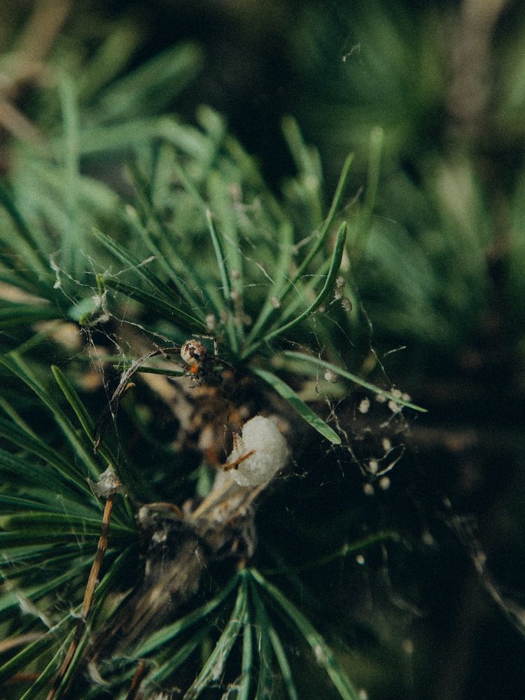 Photograph by Алёна Горошко