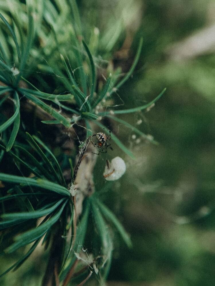 Photograph by Алёна Горошко