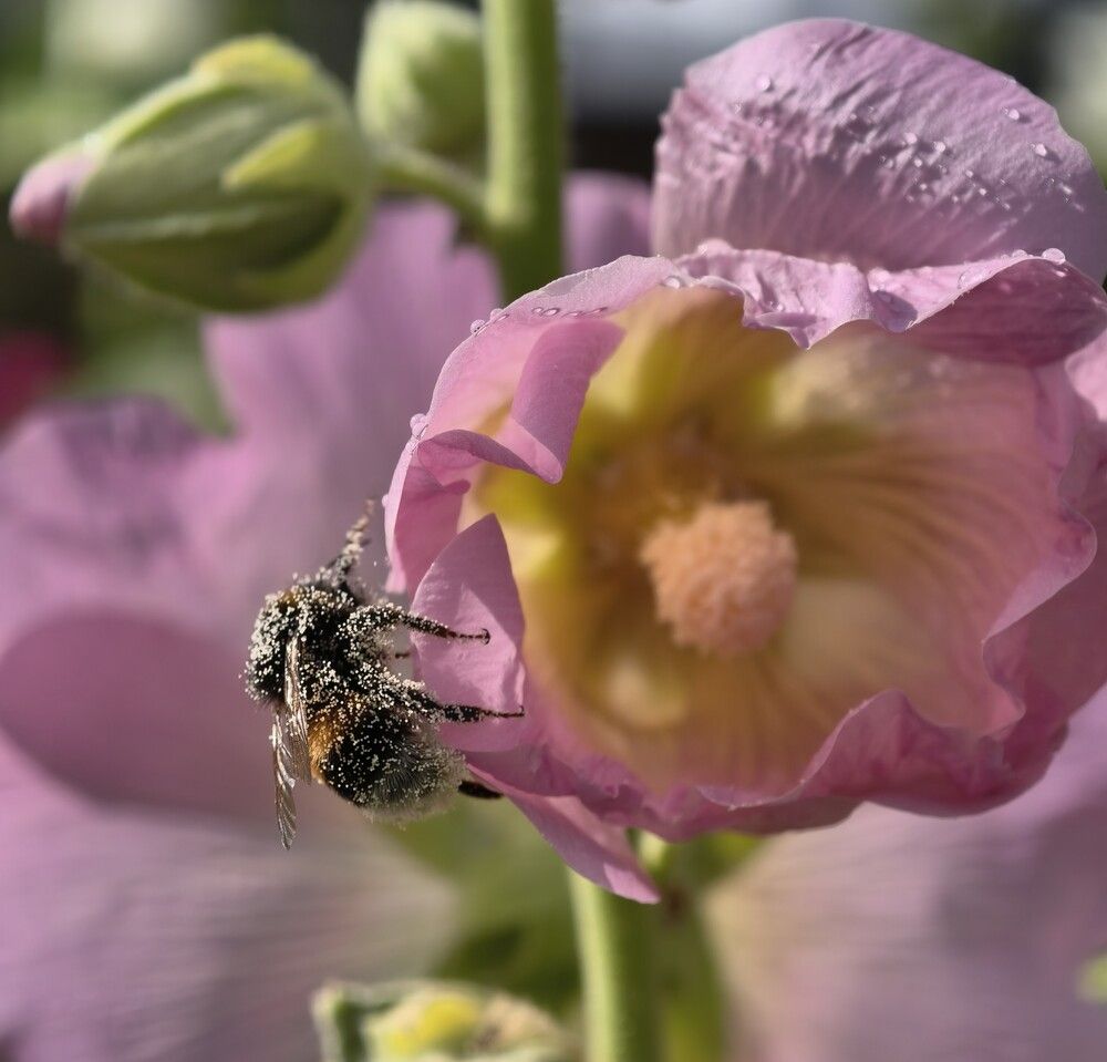 Photograph by Галина