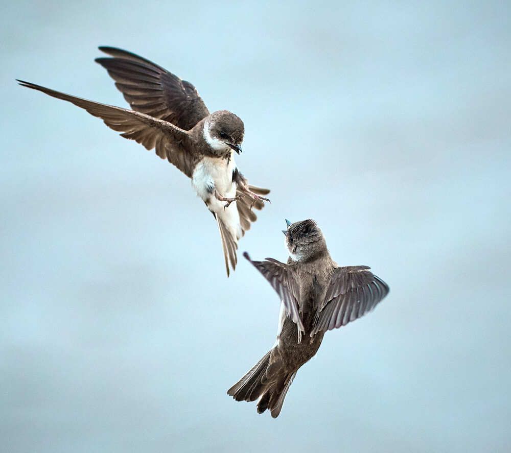 Photograph by Mikhail Khmelevskiy