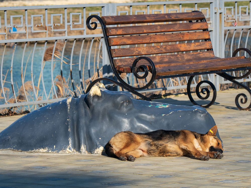 Photograph by Борис Полтавец