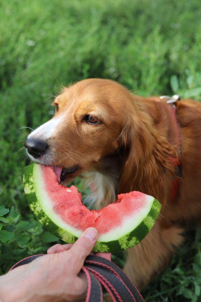 Photograph by Светлана Семакина