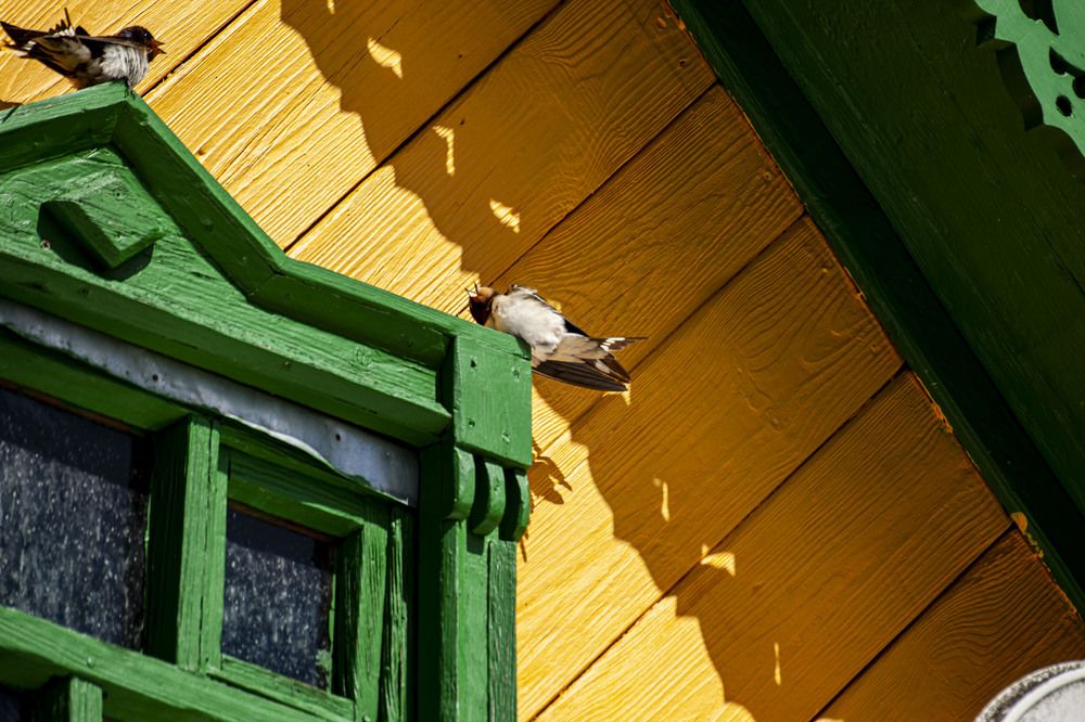 Photograph by Максим Савин