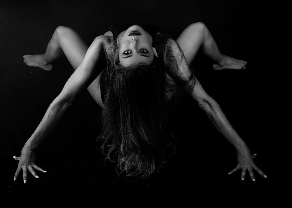 “La forma indómita”