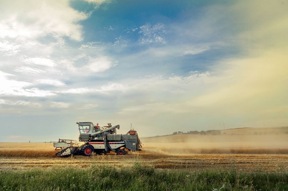 Фотография автора Oleg Suhenсo