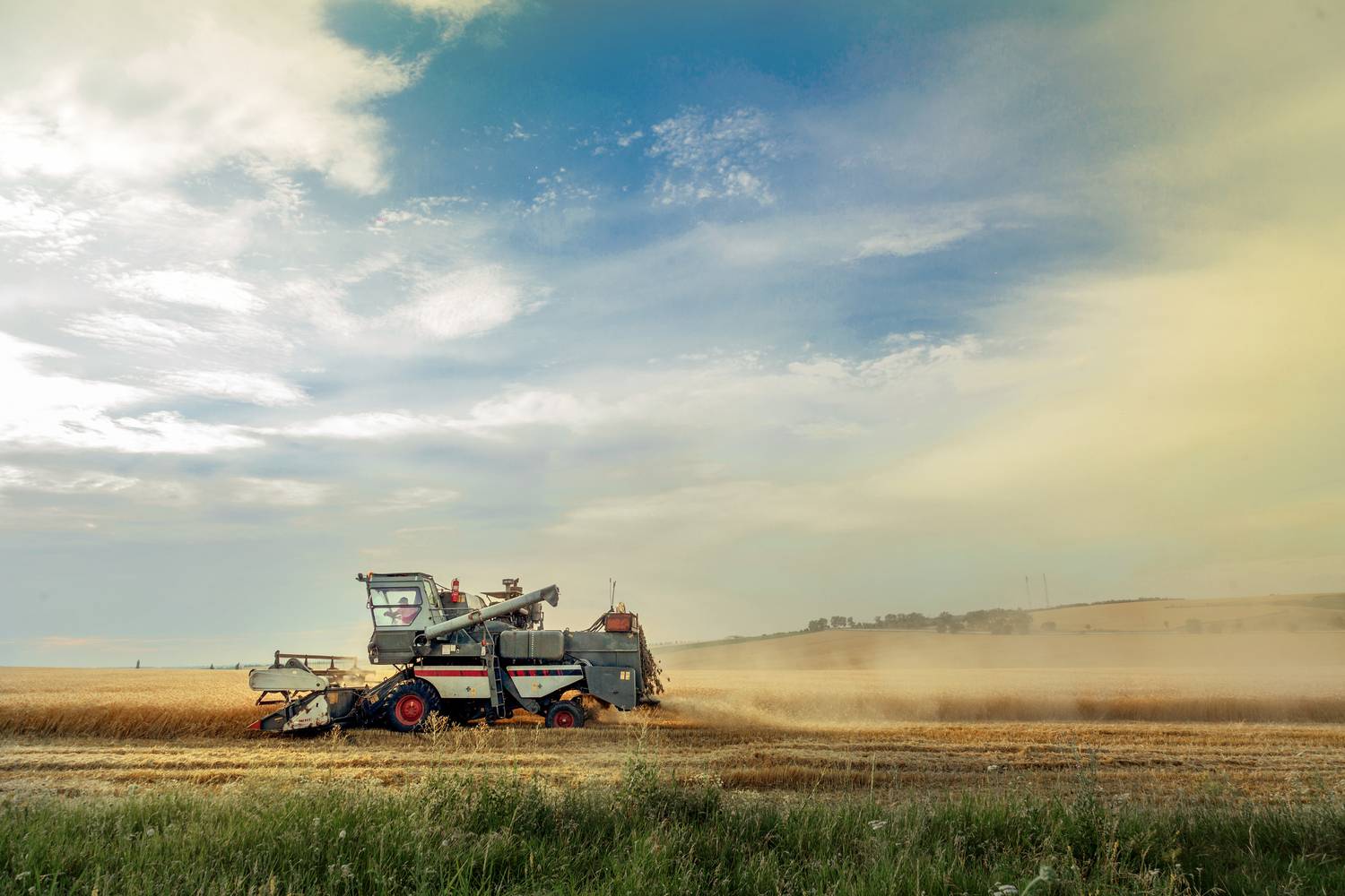 Фотография #12466355