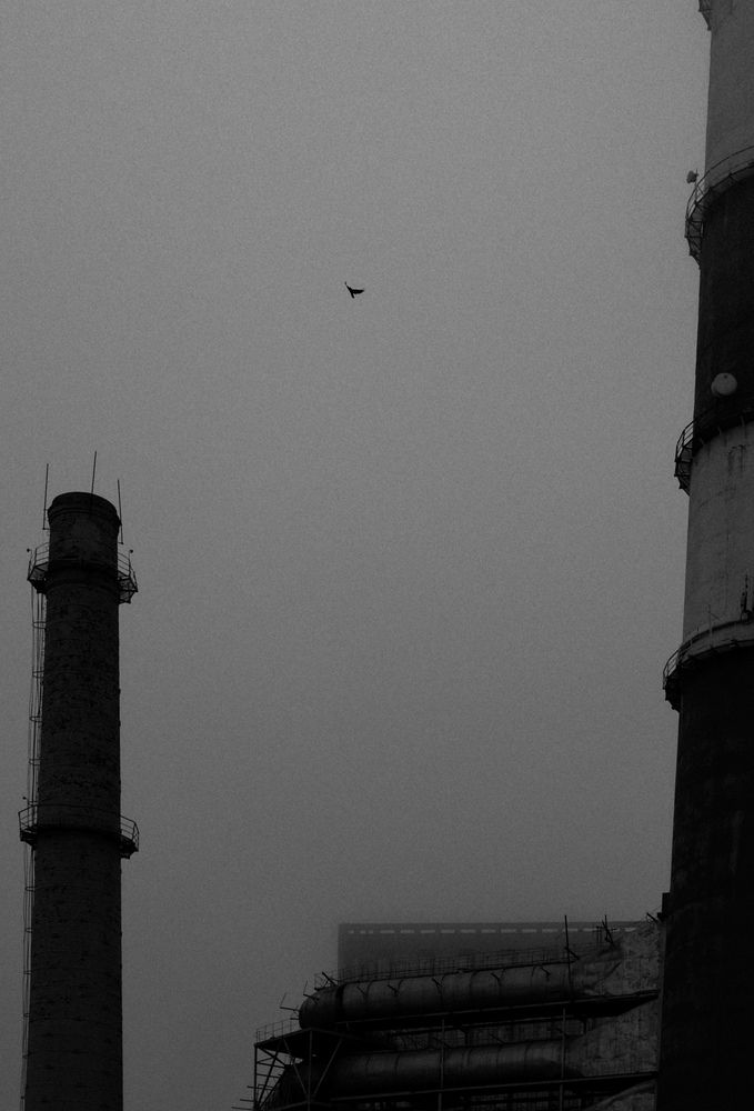 Фотография автора Олег Гумеров