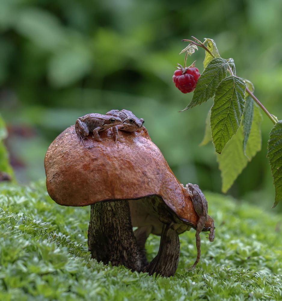 Photograph by Татьяна Феденкова