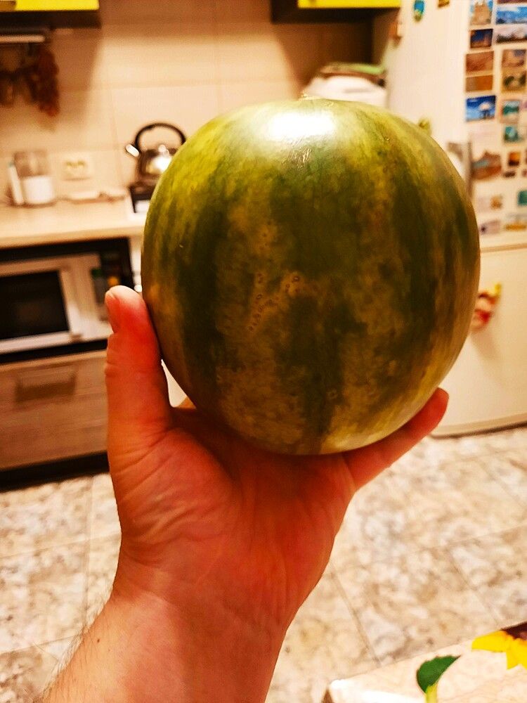 Photograph by Михаил Трусов