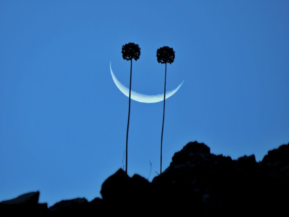 Photograph by Mahdi Mohammadi