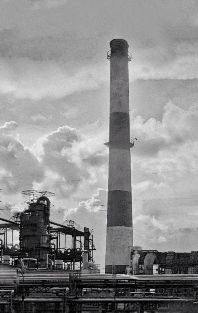 Photograph by Елена Бородулина