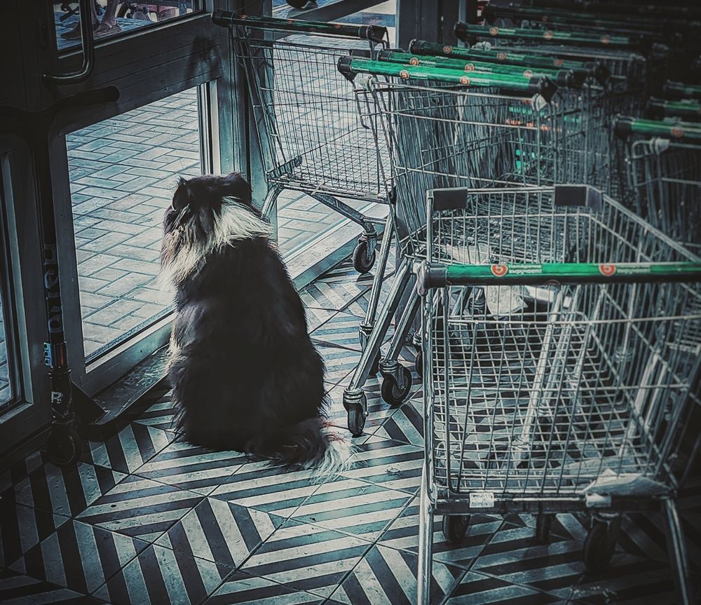 Photograph by Дайана