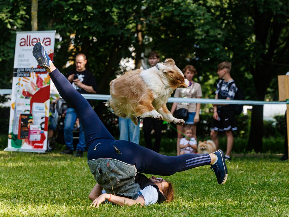 Photograph by Лоскутов Илья