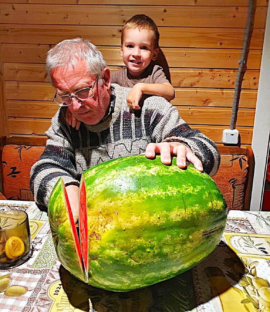 Photograph by Михаил Трусов