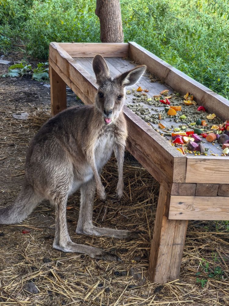 Фотография автора Татьяна Петренко