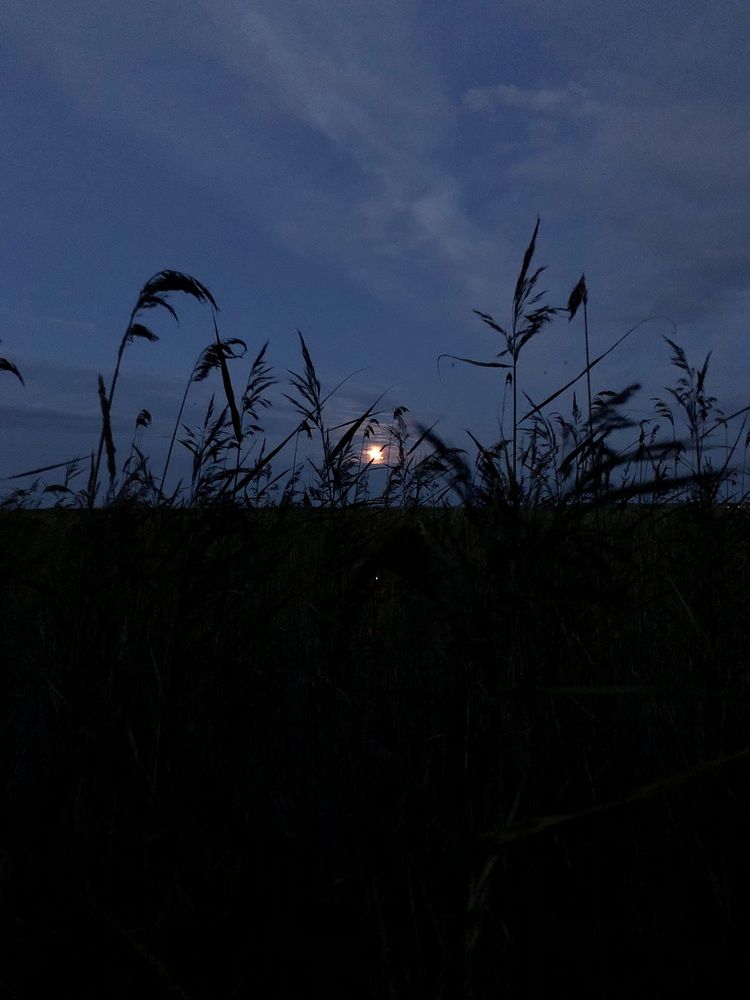 Photograph by Олеся Семёнова