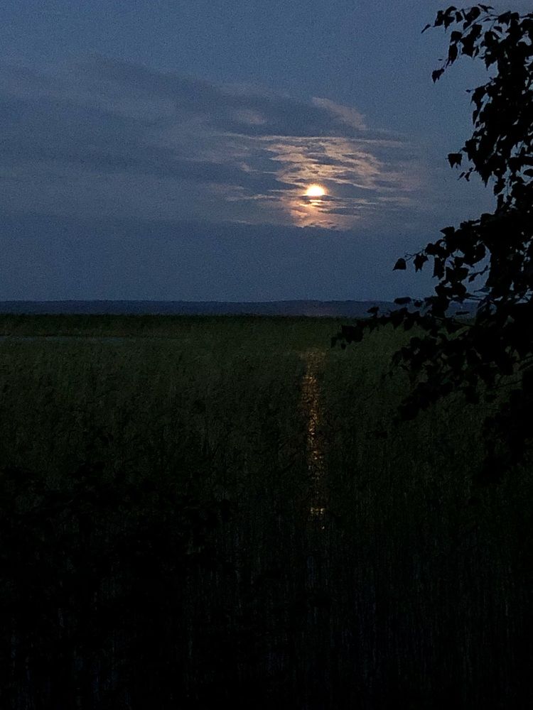 Photograph by Олеся Семёнова