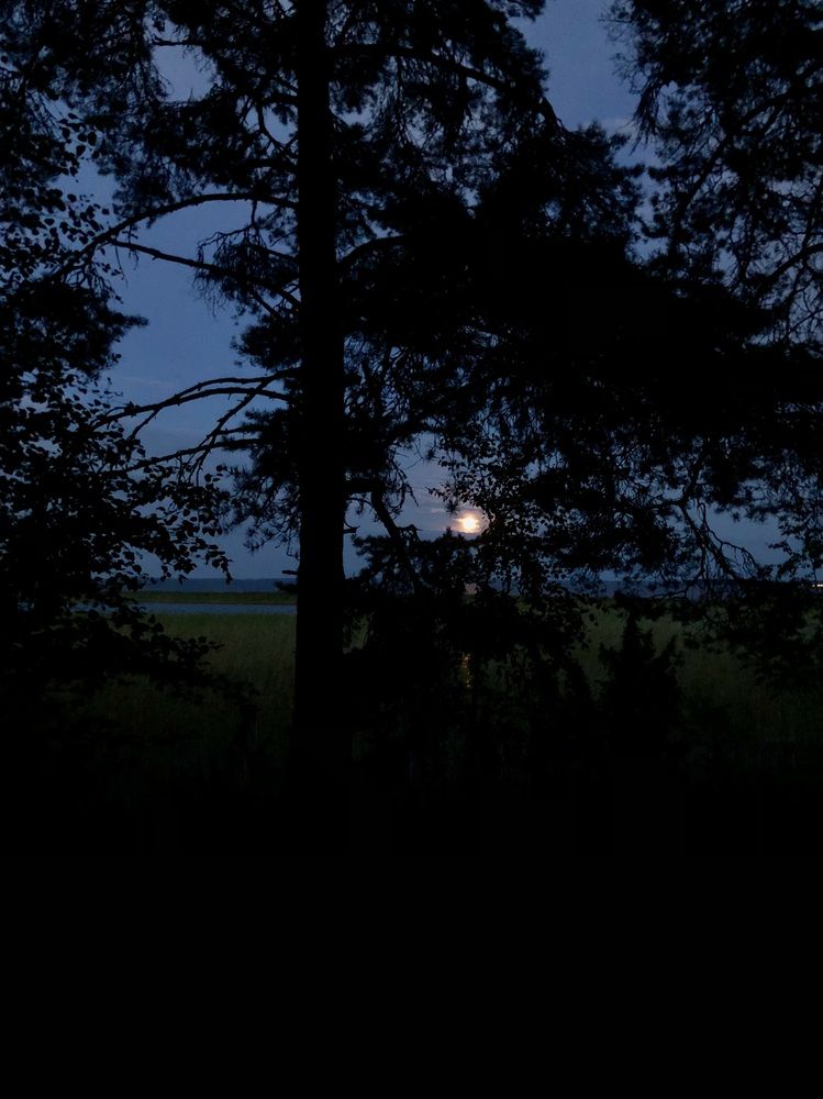 Photograph by Олеся Семёнова