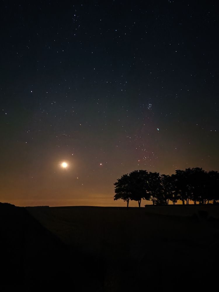 Photograph by Александра Шилова