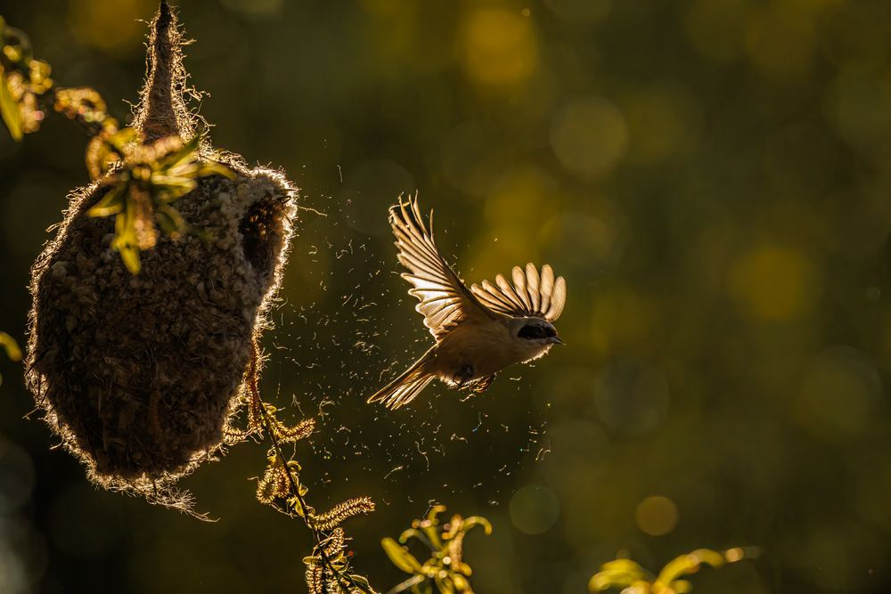 Photograph by Patryk Kurc