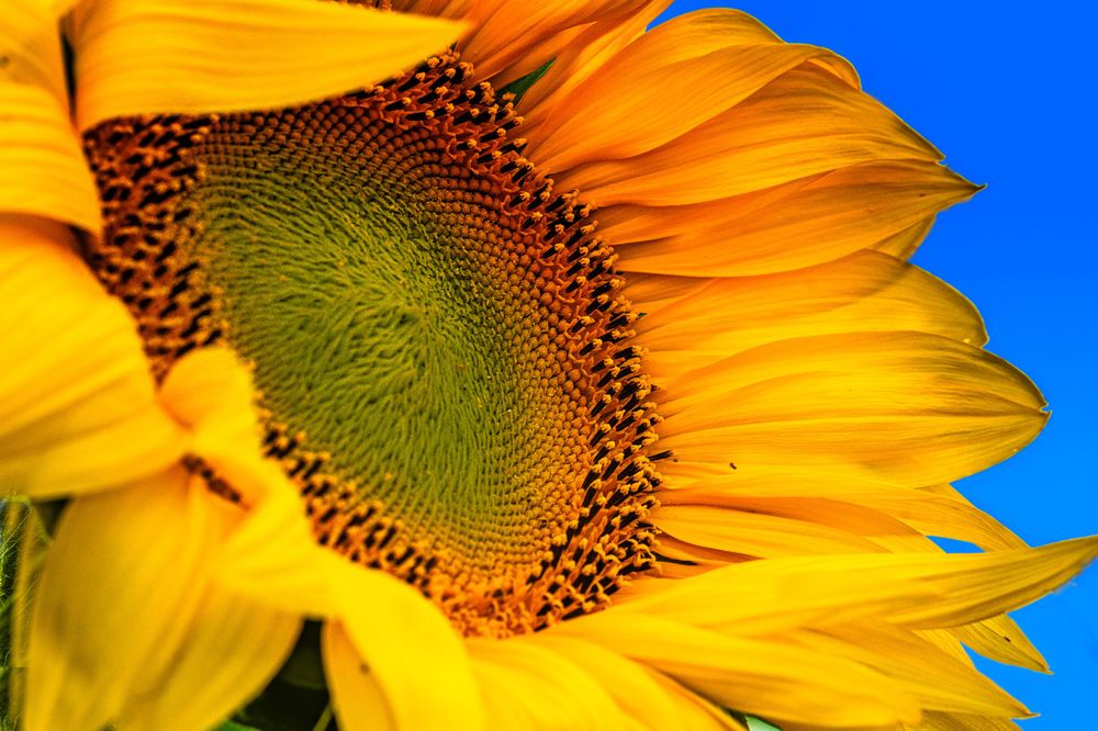 Фотография автора Андрей Жданов