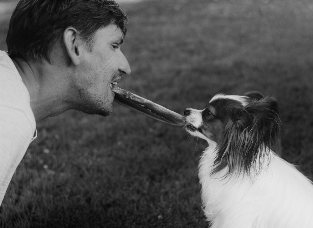 Фотография автора Ольга Шишук