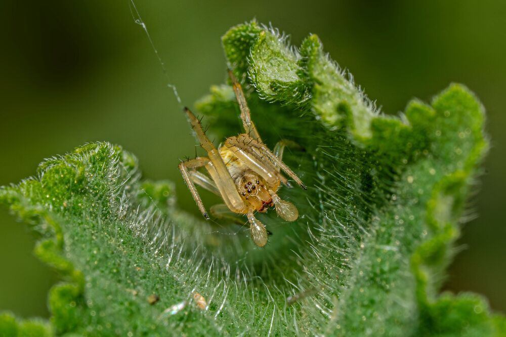 Photograph by mahadevan Arige