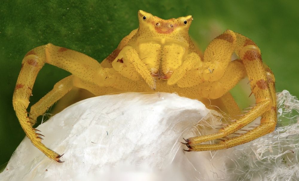 Photograph by Eduardo Salvador Cabrera