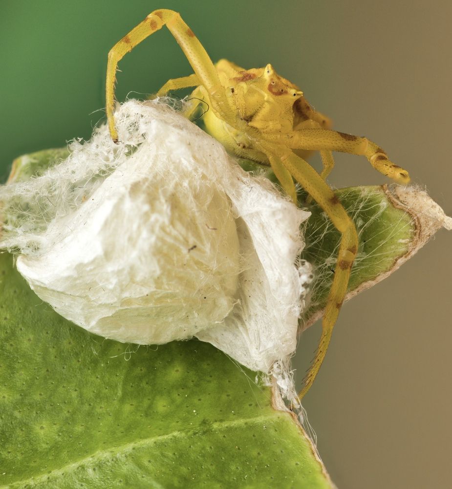 Photograph by Eduardo Salvador Cabrera